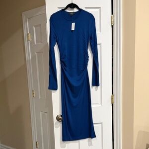Banana Republic Fitted Dress With Ruched Sides